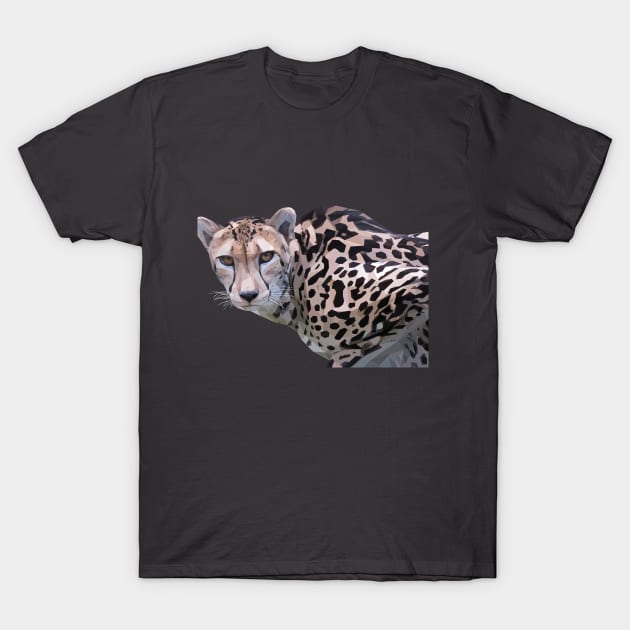 Low Poly King Cheetah T-Shirt by ErinFCampbell